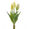 Witte tulp Box