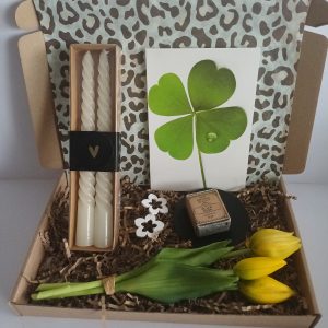 Gele Tulp Box