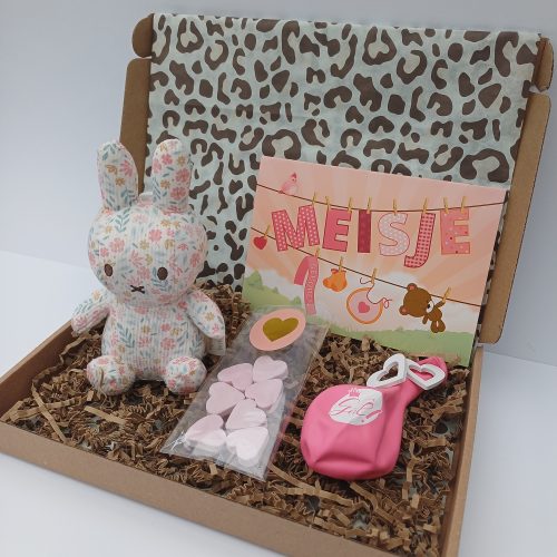 Nijntje Meisje Nijntje Meisje Box
