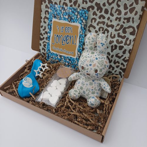 Nijntje Jongen Nijntje Jongen Box